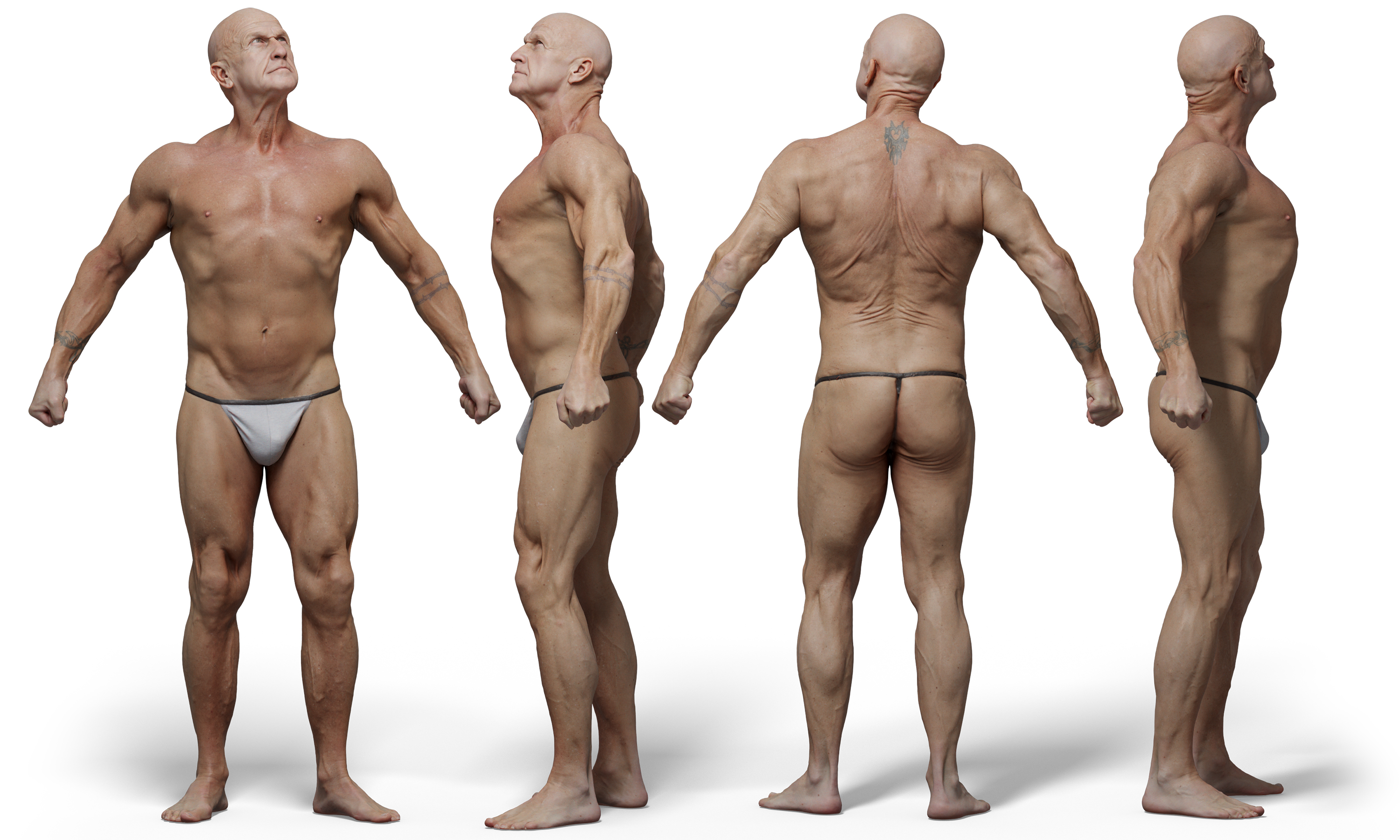 3D male body model download